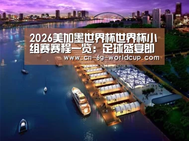 案例展示八