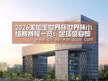 案例展示四